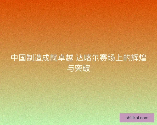 中国制造成就卓越 达喀尔赛场上的辉煌与突破